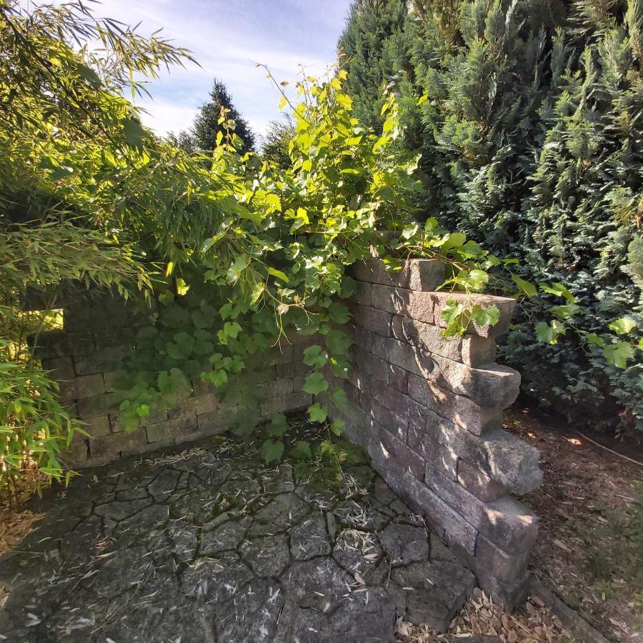 Apartment In Upper Floor In Nature Reserve. Hipstedt Εξωτερικό φωτογραφία